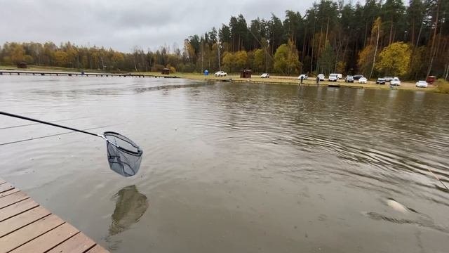13.10.25 - поимки форели
