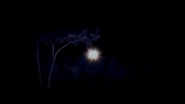 1000049766.mp4
