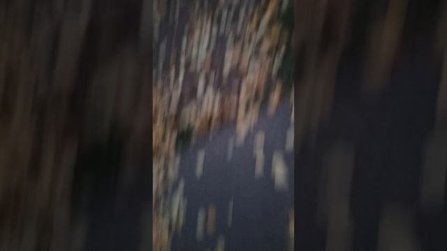 Я гуляю 1 часить