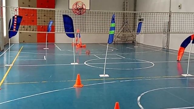Рассказ о БАС (обучение вождению беспилотных авиационных систем)