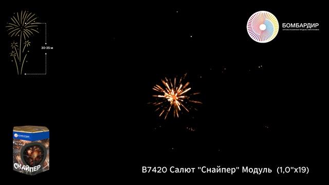 В7420 Салют Снайпер Модуль  (1,0х19)