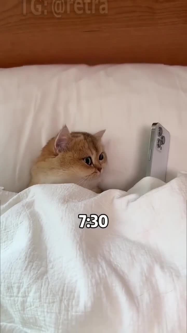 Классика начала рабочей недели
