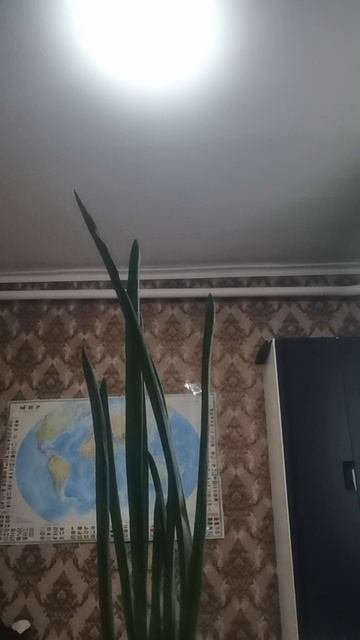 VID_20251013_152707.mp4