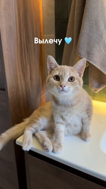 Вылечили 😊