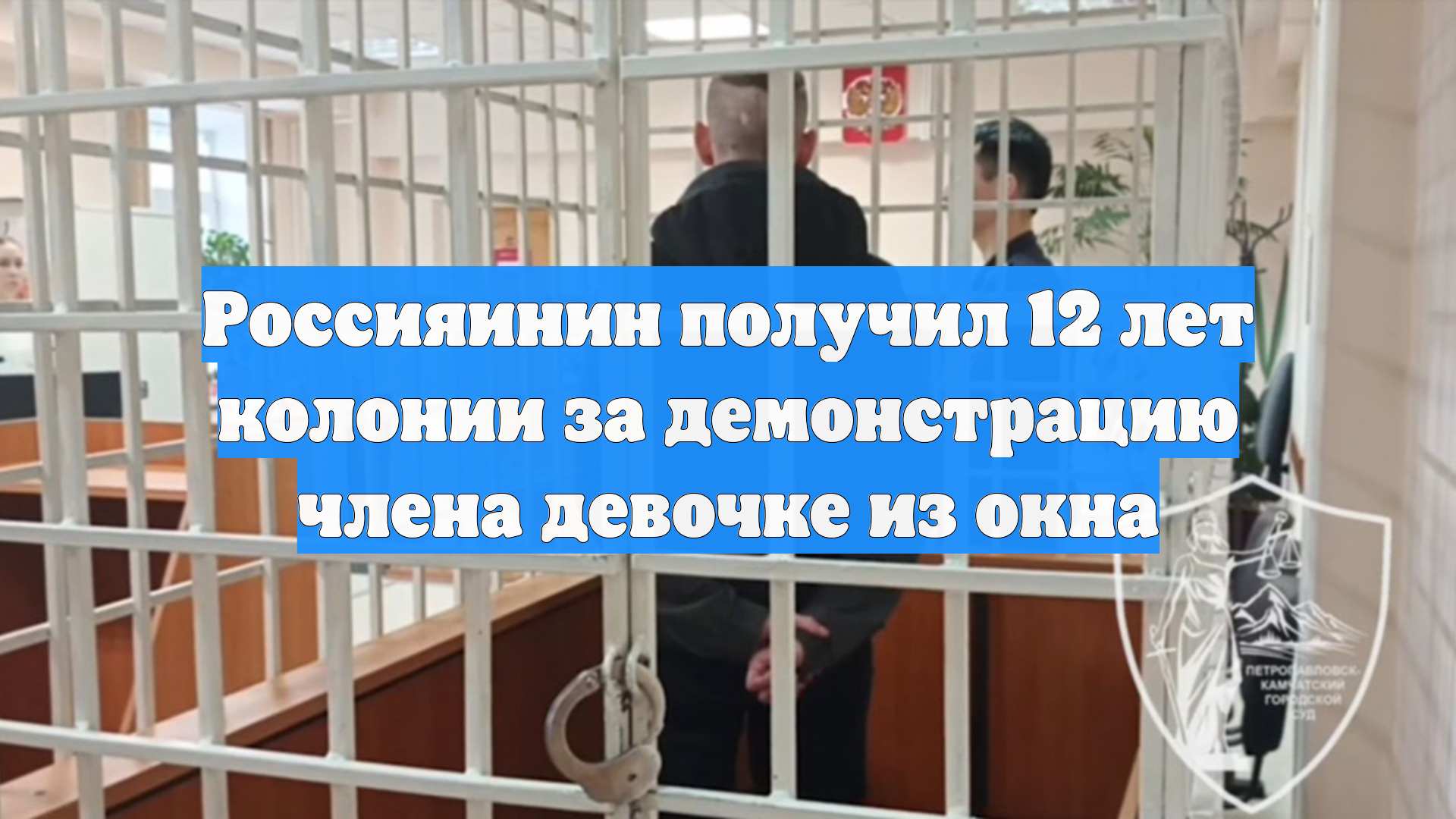 Россияинин получил 12 лет колонии за демонстрацию члена девочке из окна