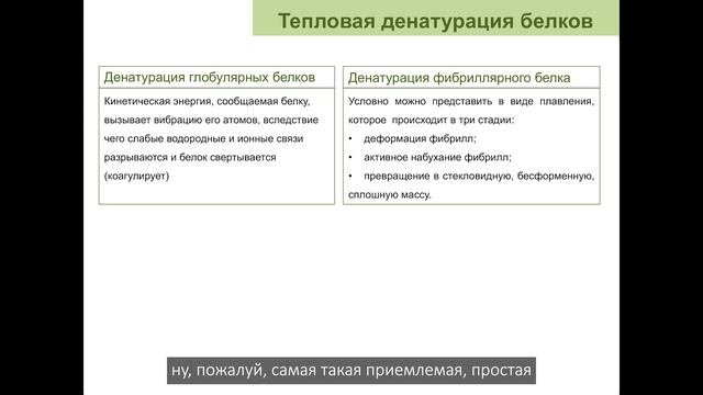 3.2.1(2) Денатурация Струппуль