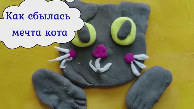 Как сбылась мечта кота