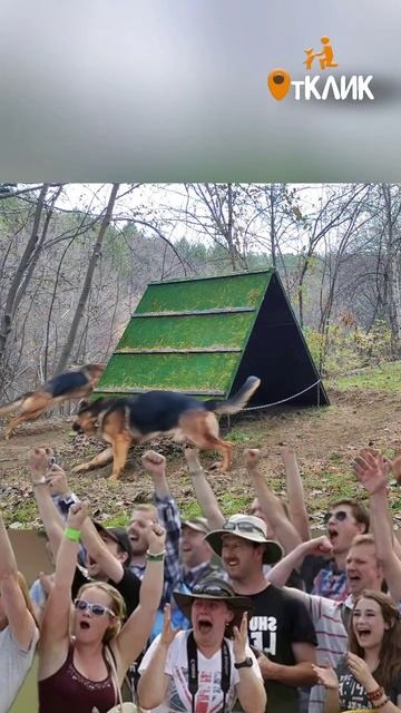 Игры и занятия