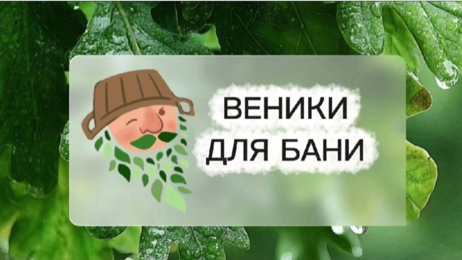 Веники и ароматы: путеводитель по банному здоровью|Веники для бани🍃
