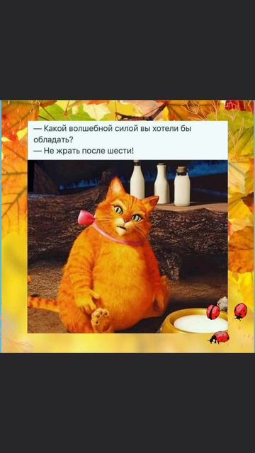 Юмор 