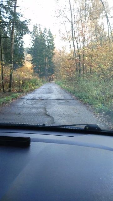 VID_20251011_100943.mp4