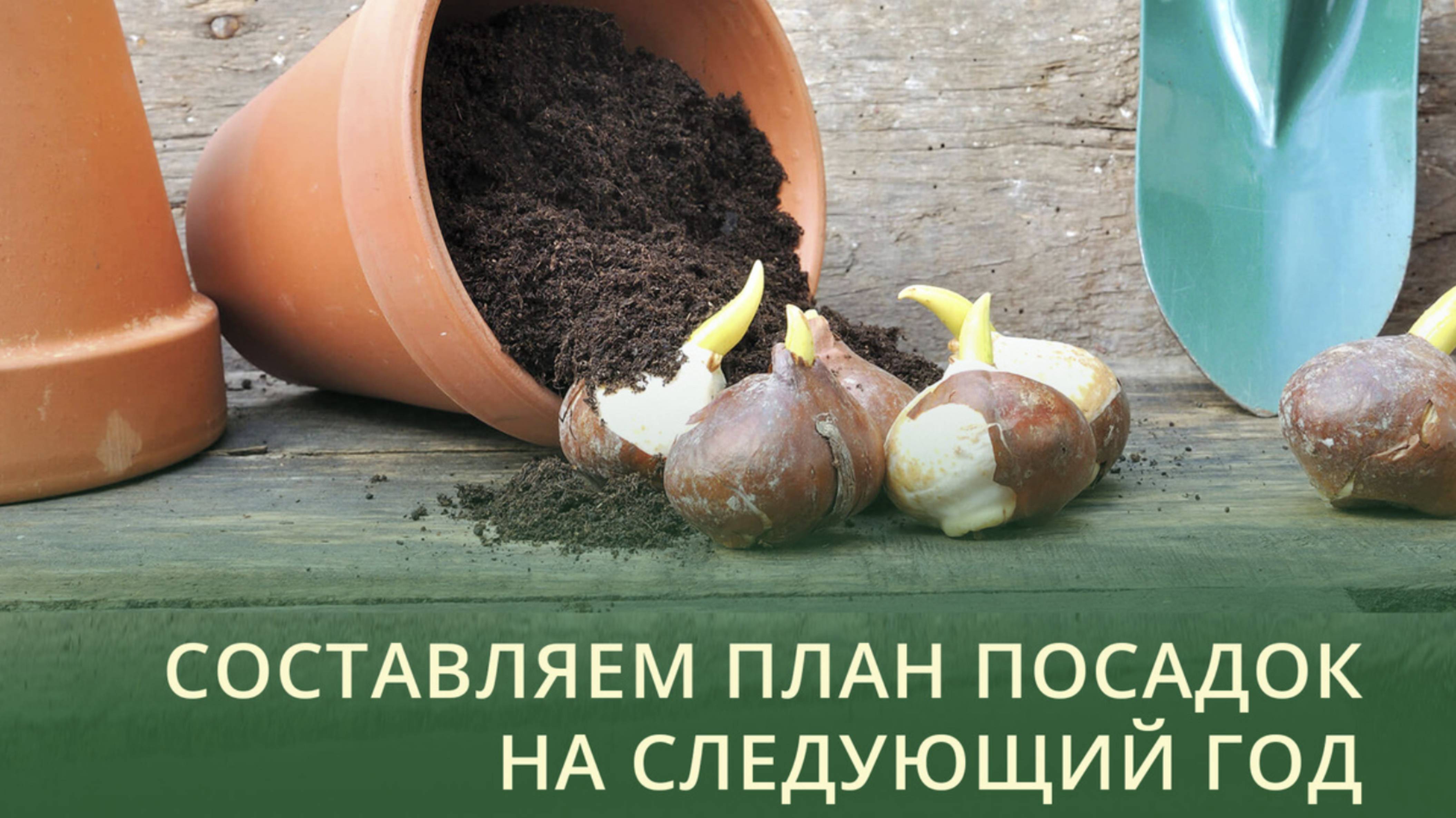 Как составить план посадок на следующий 2026 год: схемы севооборот.