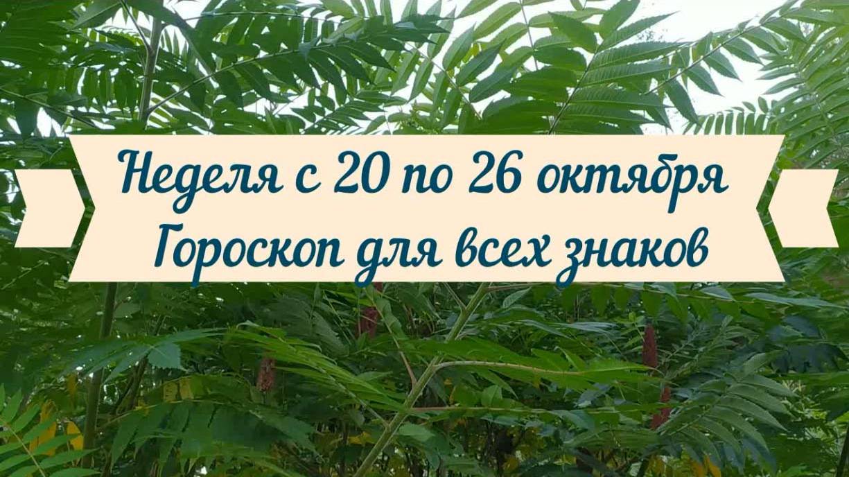 Недельный гороскоп 20 - 26 октября 2025 для каждого знака