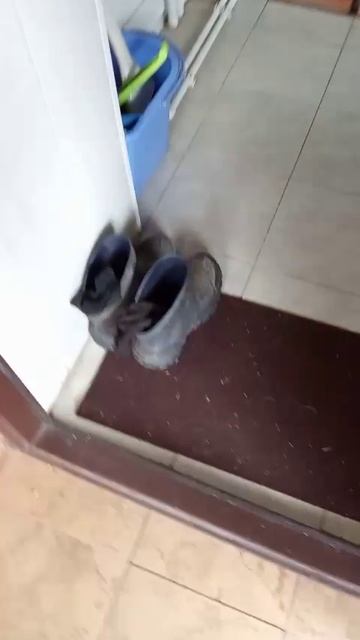 1000149432.mp4