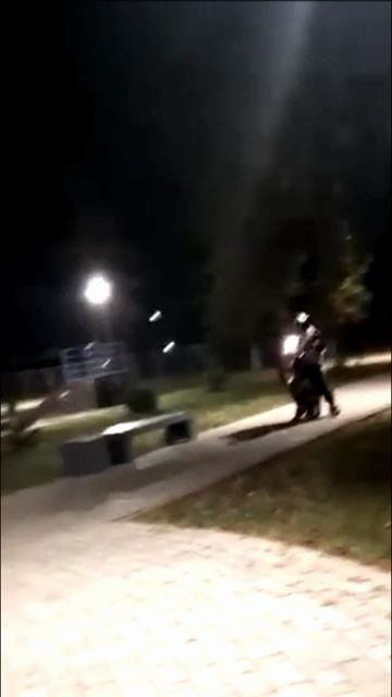 На Жуковке в Брянске на питбайках катаются прямо по парку