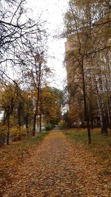 Парк в Воскресенске(2)