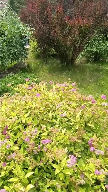 Сколько света и красок в этой осени дивной! Не поспоришь, да?