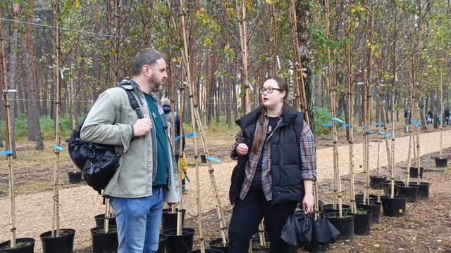 ВГЛТУ субботник в парке Танаис - Берёзы для борьбы с грибком и здоровья деревьев.