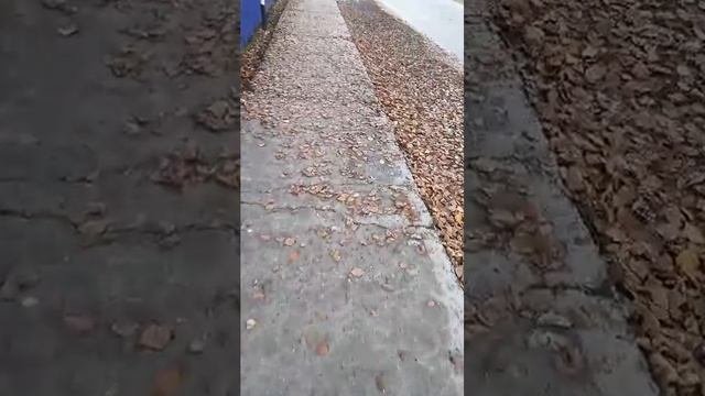 Привет