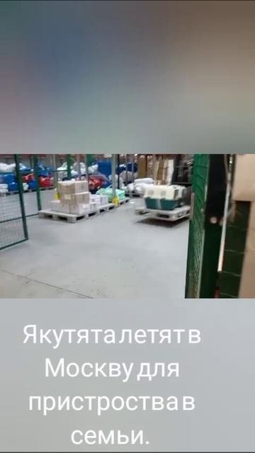 13-10-2025 якутята