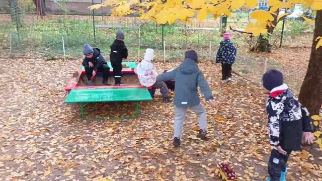 Минута прогулки. 13.10.2025