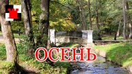 Середина Калининградской Осени. Прогулка по Центральному парку