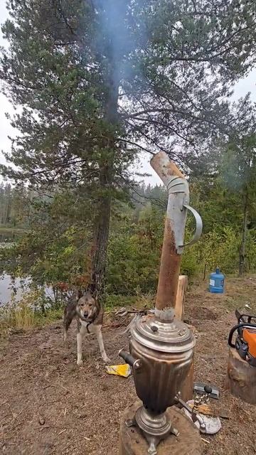 Самовар шумит