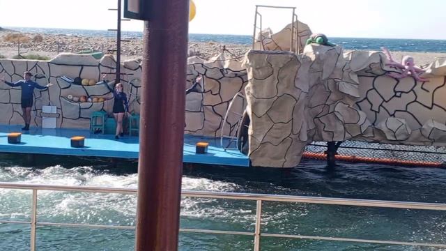 Video_2025-08-11_13-30-57