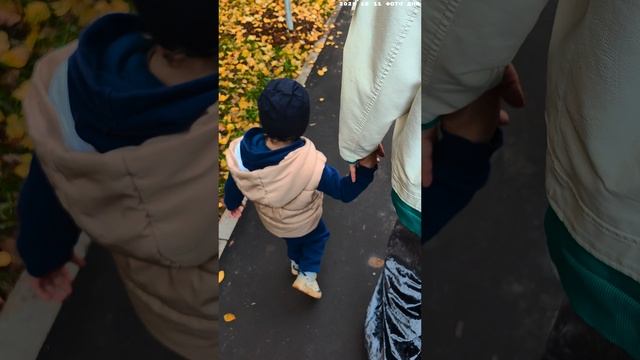 2025 10 11 ФОТО ДНЯ 4К.mp4