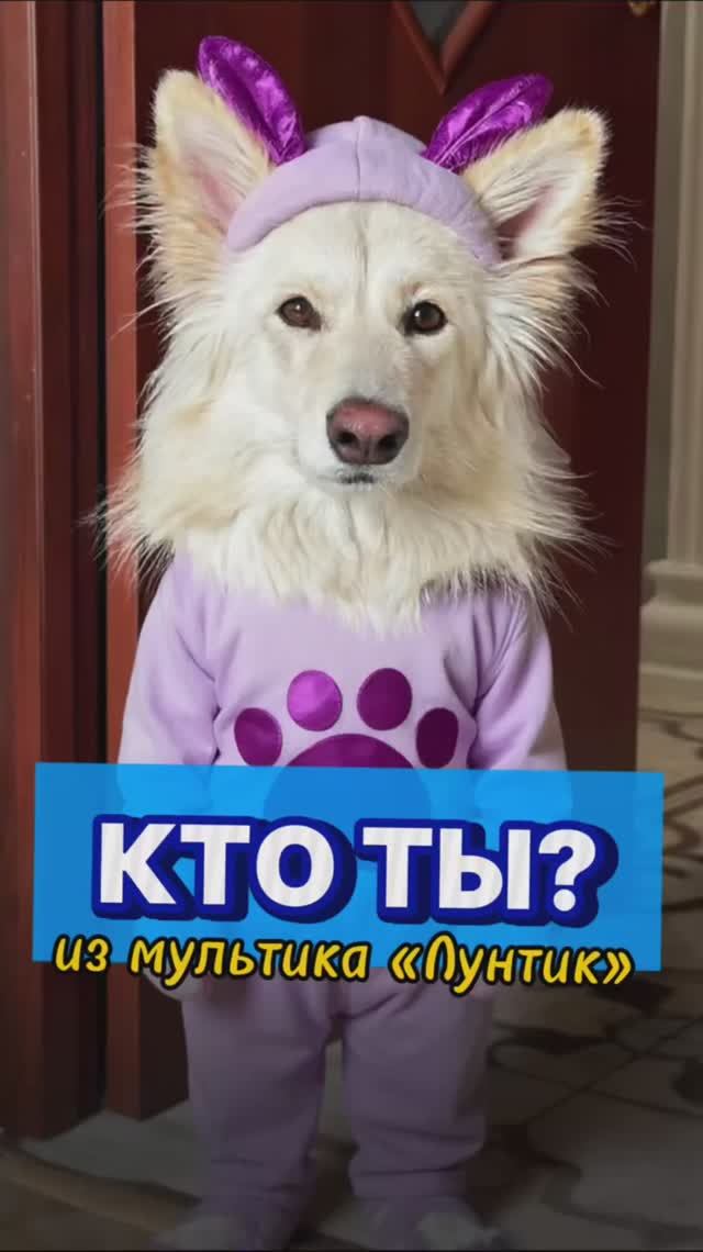 Что у вас получилось?☺️ #собака #питомец #животные #игры