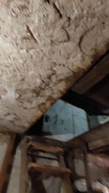1000025798.mp4