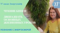 5 ч чтения книги 12 жизненных уроков Стива Ротера