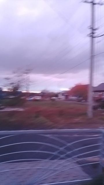 1000084503.mp4