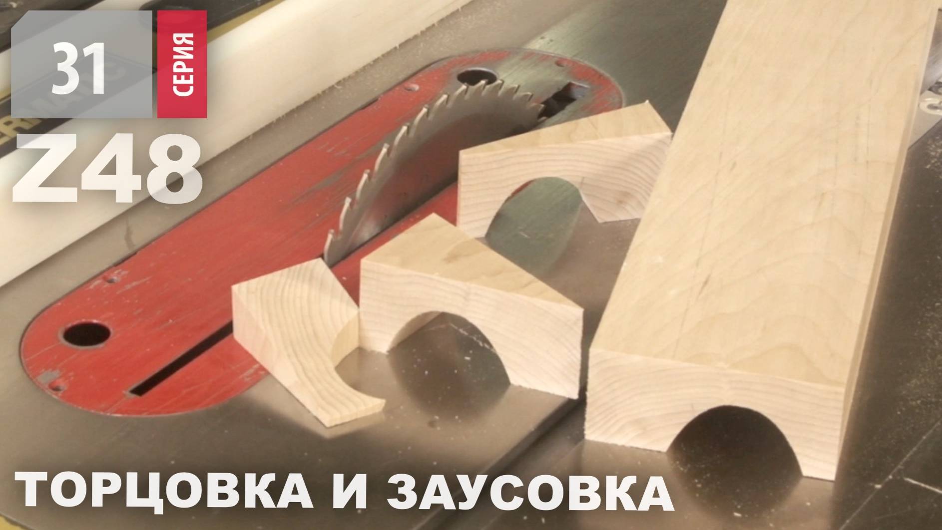 Как режет дерево пильный диск для поперечного реза Z48 Woodwork 31.250.12 на циркулярном станке