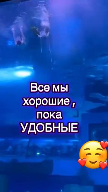 Измени себя и изменишь Жизнь!!!