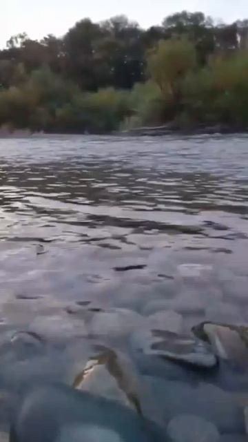 Красивая горная река Зеленчук город Невинномысск часть вторая