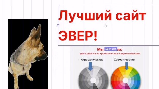 тест