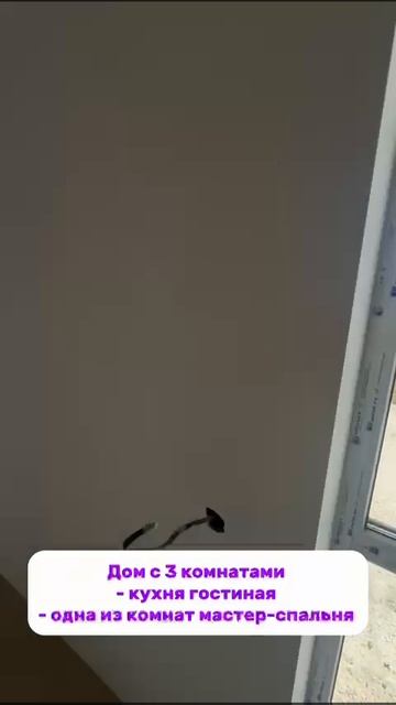 топ