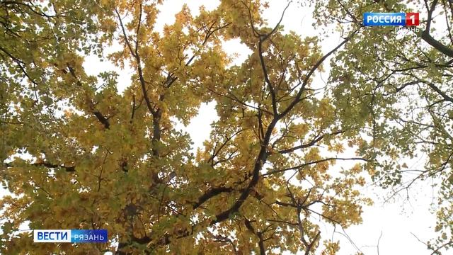 Эфир от 11.10.2025 08:00