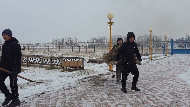 Волонтёрская акция 