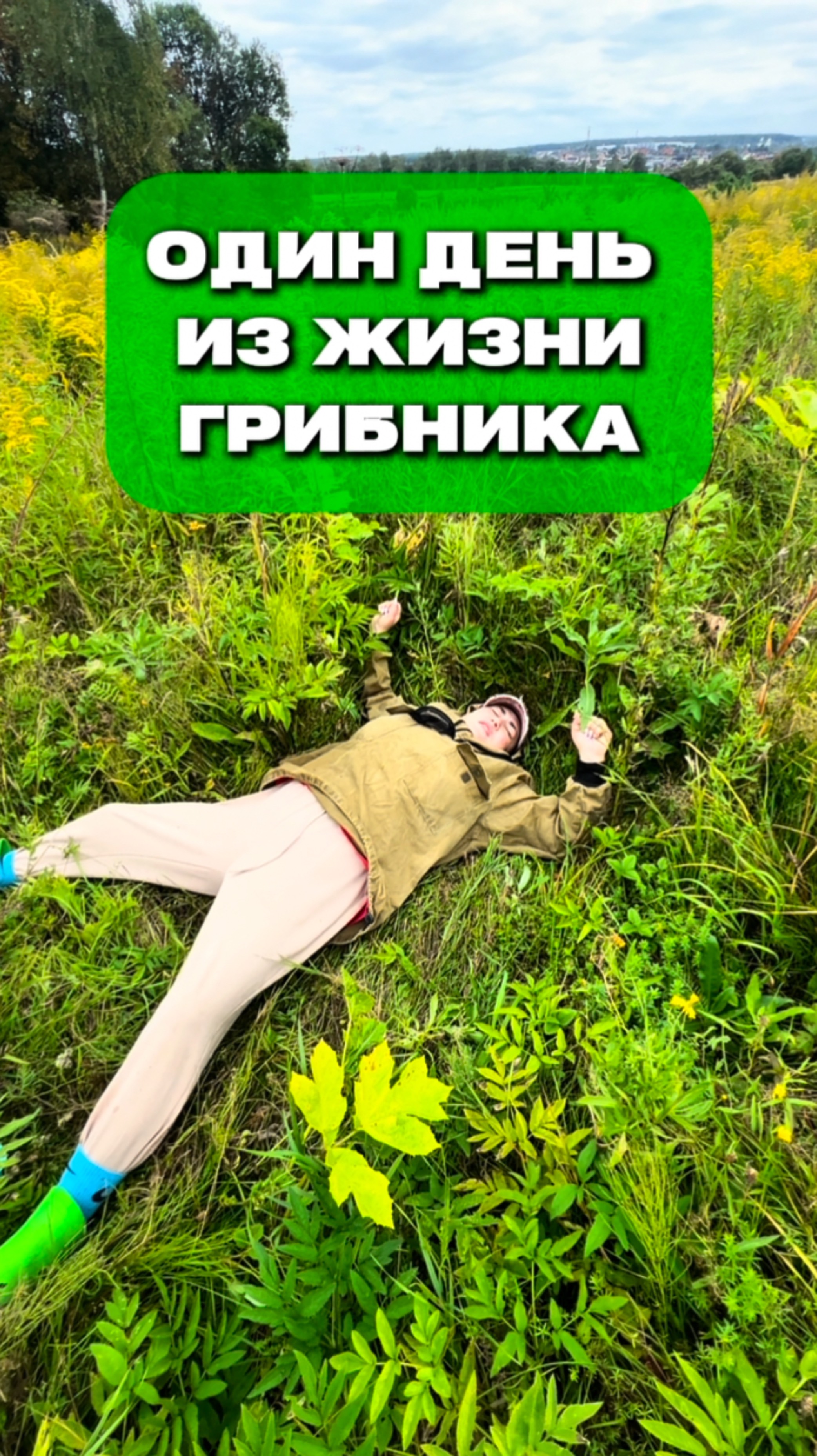 Один день из жизни грибников. Грибы в Туле 🍄