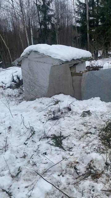 01.03.2025 года/ как все началось часть вторая