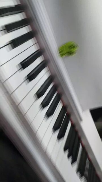 писанино играем учемся