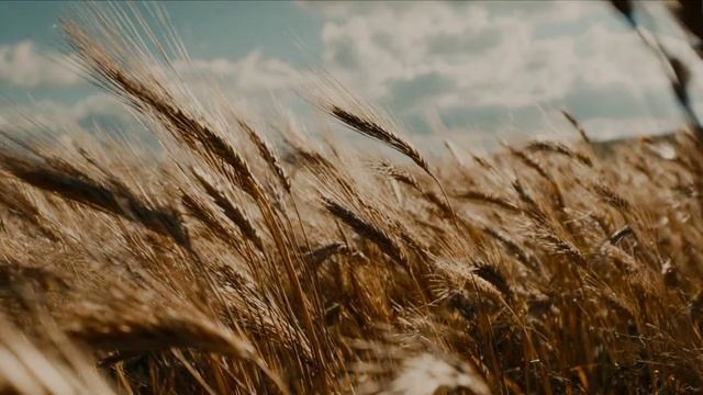 Иисус - Хлеб.mp4