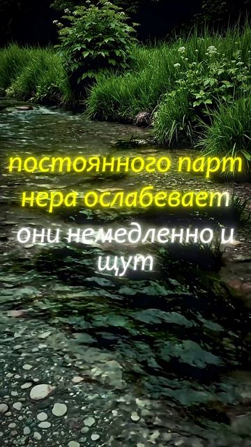 Нарциссизм и измена изменаотношения семья