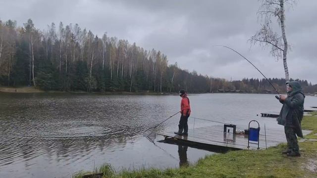сход форели
