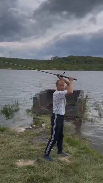 жизнено (не я)