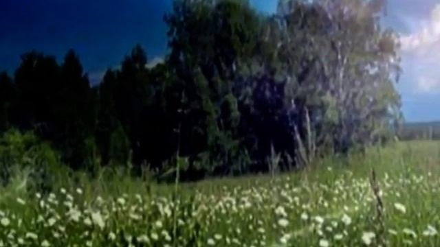 Ах,эта красная рябина
