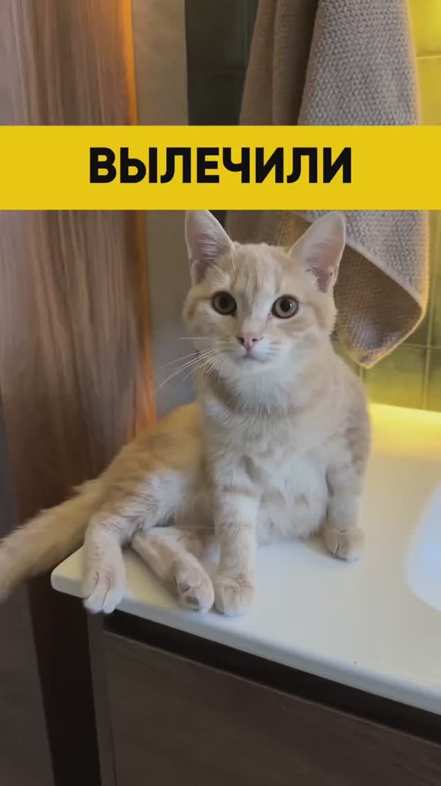 Вылечили 😊