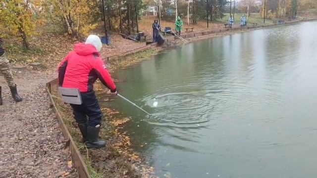 WhatsApp Video 2025-10-13 At 09.39.38